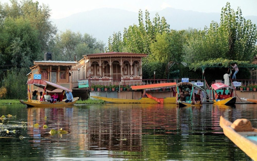 A shikara boat on Dal Lake at sunset, Srinagar, Kashmir.